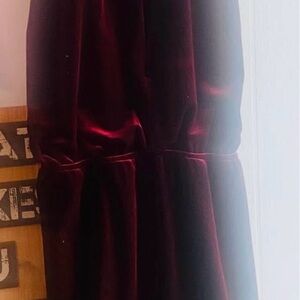 Elegant Velvet Burgundy Dress